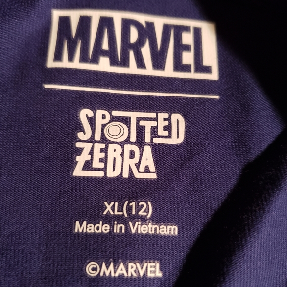 3 MARVEL SPOTTED ZEBRA - Picture 5 of 12